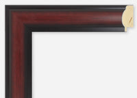 Custom Frame CFSX340-15