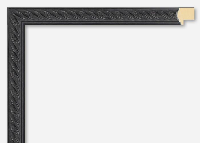 Custom Frame CFSX1700-50x