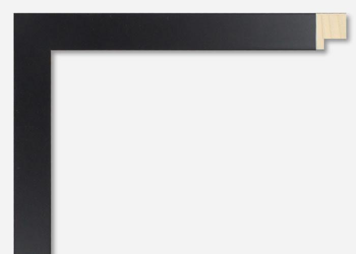 Custom Frame CFSX480-05