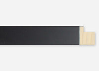 Custom Frame CFSX480-05