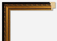 Custom Frame CFSX300-890