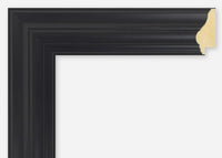 Custom Frame CFSX460-50