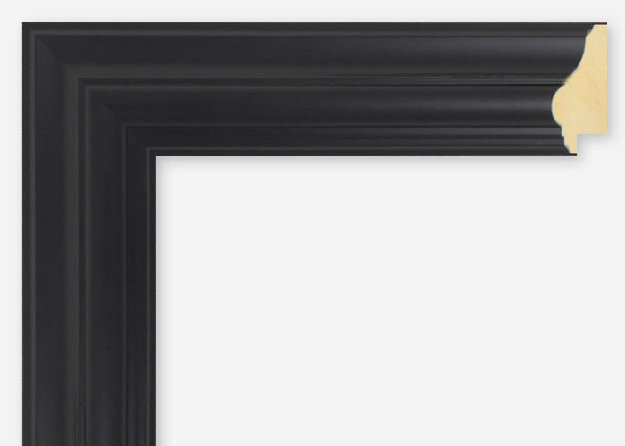 Custom Frame CFSX460-50