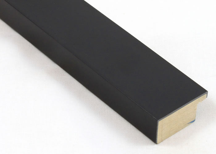 Custom Frame CFSX460-95