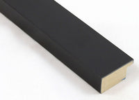 Custom Frame CFSX460-95