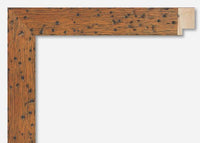 Custom Frame CFSX855-20