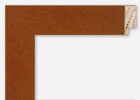 Custom Frame CFSX300-675