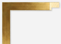 Custom Frame CFSX2440-65