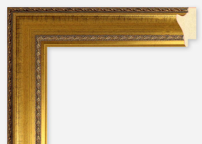 Custom Frame CFSX305-65