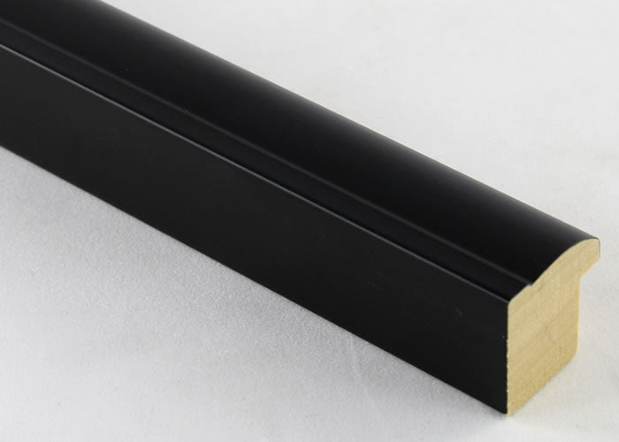 Custom Frame CFSX2420-10