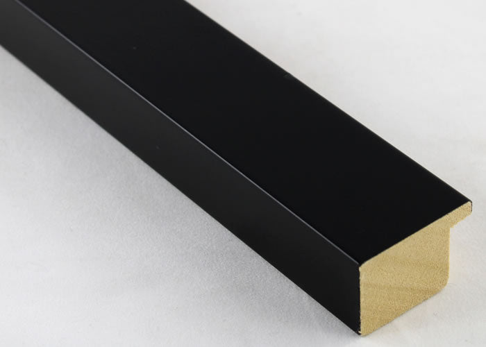 Custom Frame CFSX2420-50