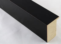 Custom Frame CFSX2425-85