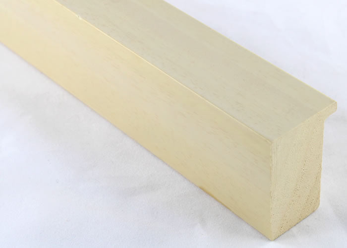 Custom Frame CFSX2430-10