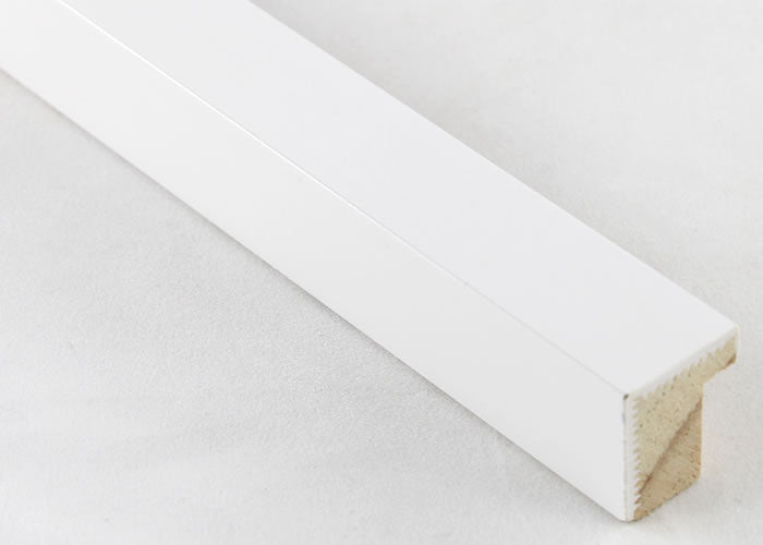 Custom Frame CFSX310-165