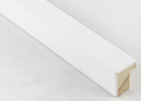 Custom Frame CFSX310-165