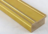 Custom Frame CFSX395-20