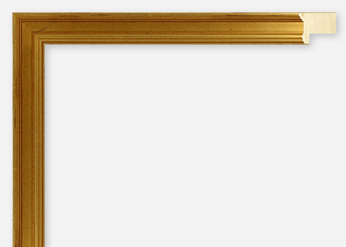 Custom Frame CFSX1100-95x