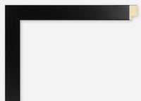 Custom Frame CFSX2415-10