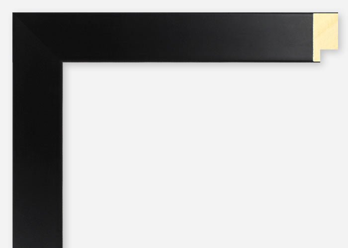 Custom Frame CFSX2415-95