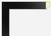 Custom Frame CFSX2415-95