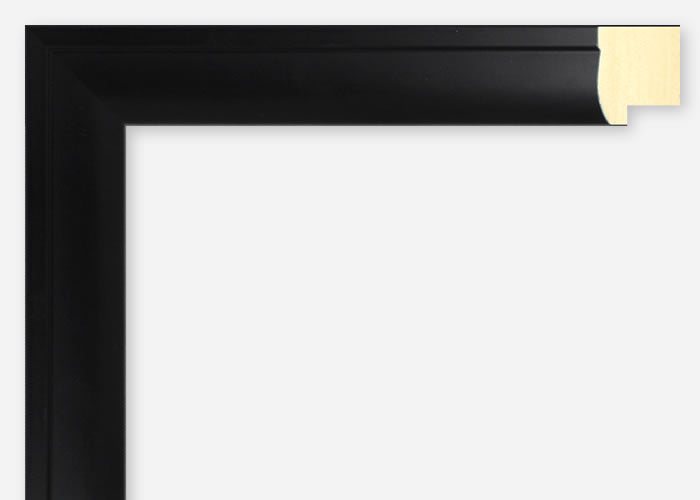 Custom Frame CFSX2420-10