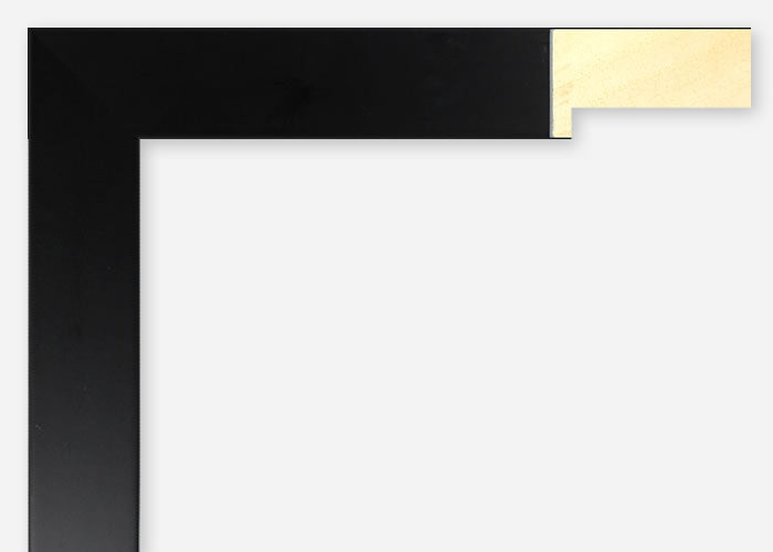 Custom Frame CFSX2420-35