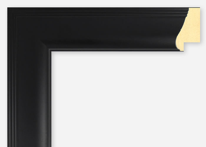 Custom Frame CFSX2420-40