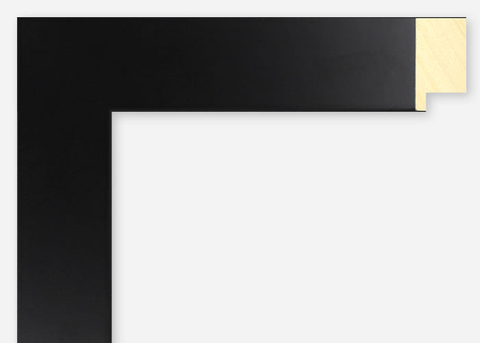 Custom Frame CFSX2420-50