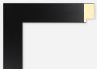 Custom Frame CFSX2420-50