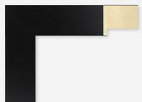 Custom Frame CFSX2425-50