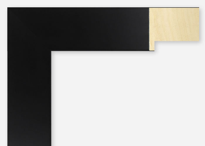 Custom Frame CFSX2425-50