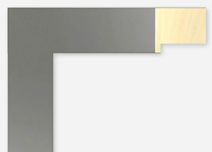 Custom Frame CFSX2425-70