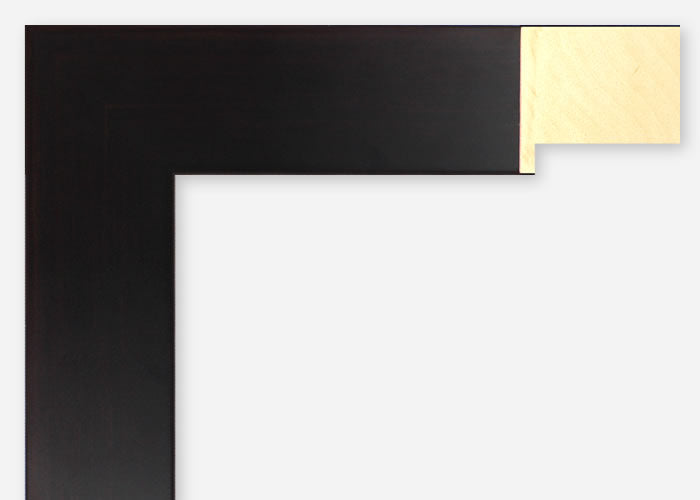 Custom Frame CFSX2425-85