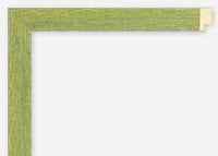 Custom Frame CFSX2455-10