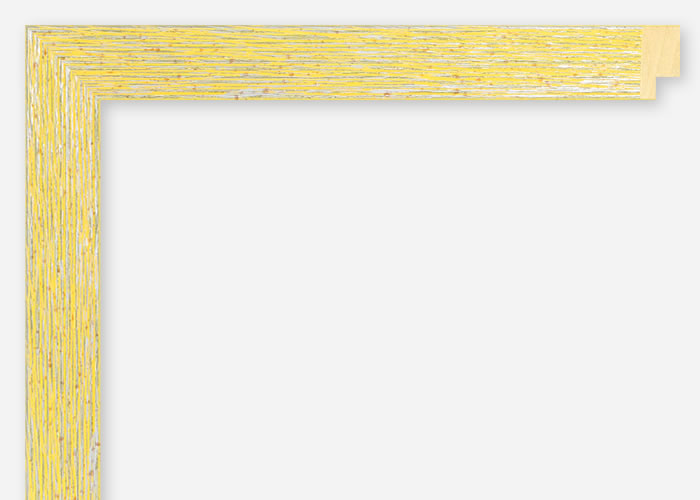 Custom Frame CFSX2455-15