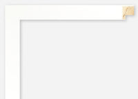 Custom Frame CFSX310-165