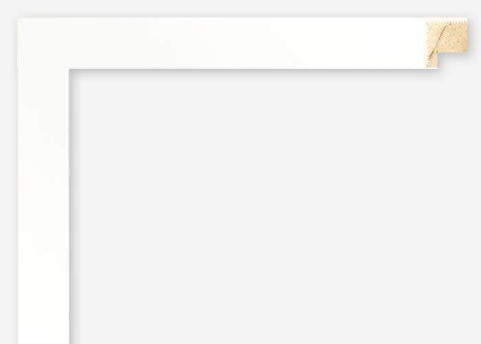 Custom Frame CFSX310-165