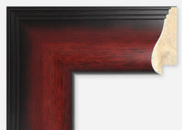 Custom Frame CFSX360-05