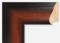 Custom Frame CFSX360-10