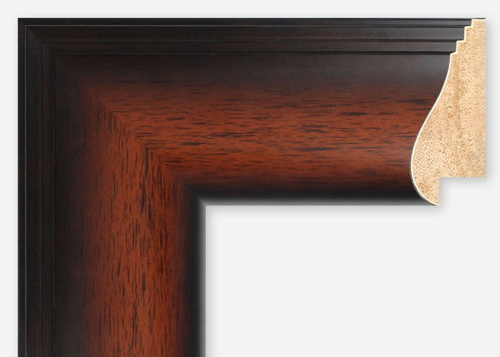 Custom Frame CFSX360-10