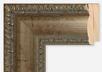 Custom Frame CFSX390-35