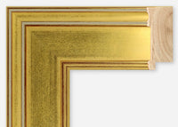 Custom Frame CFSX395-20