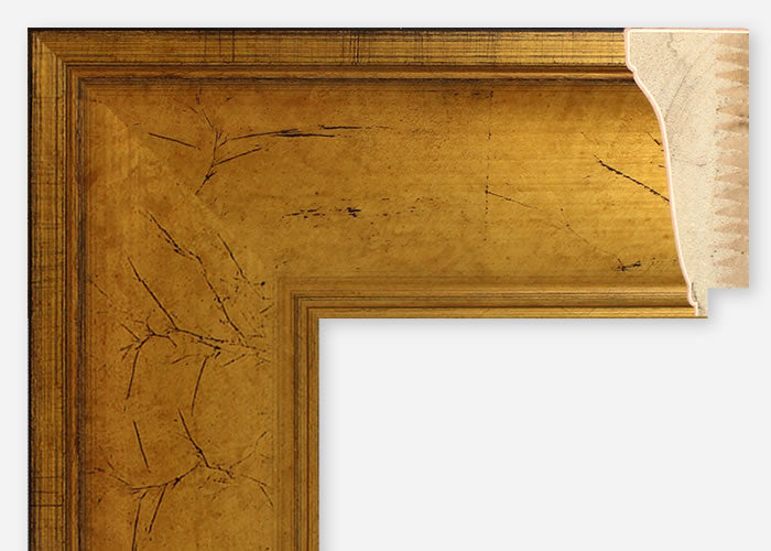 Custom Frame CFSX480-45