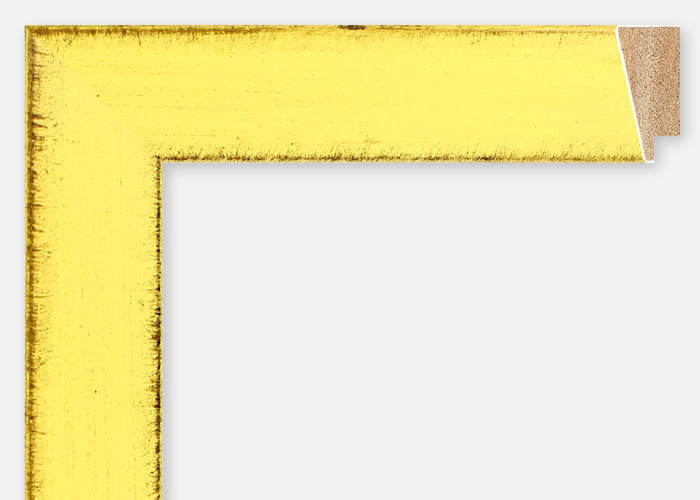 Custom Frame CFSX805-205