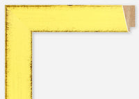 Custom Frame CFSX805-205