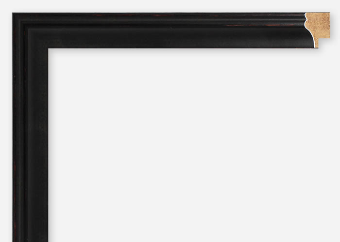 Custom Frame CFSX805-305