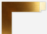 Custom Frame CFSX805-410