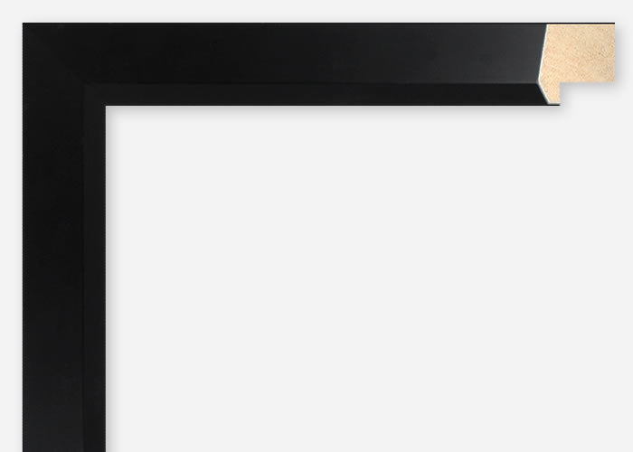 Custom Frame CFSX855-65