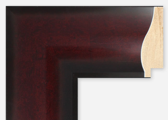 Custom Frame CFSX895-05