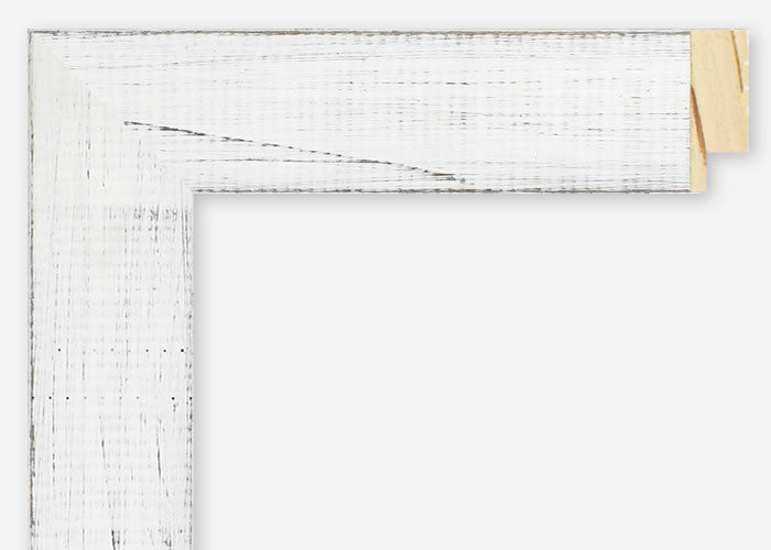 Custom Frame CFSYB921